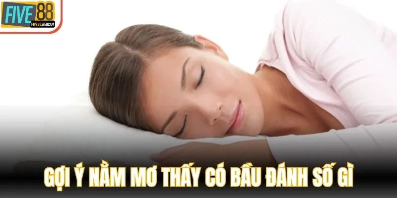 Gợi ý nằm mơ thấy có bầu đánh số gì