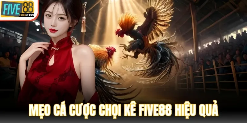 Mẹo tham gia cá cược chọi kê FIVE88 hiệu quả