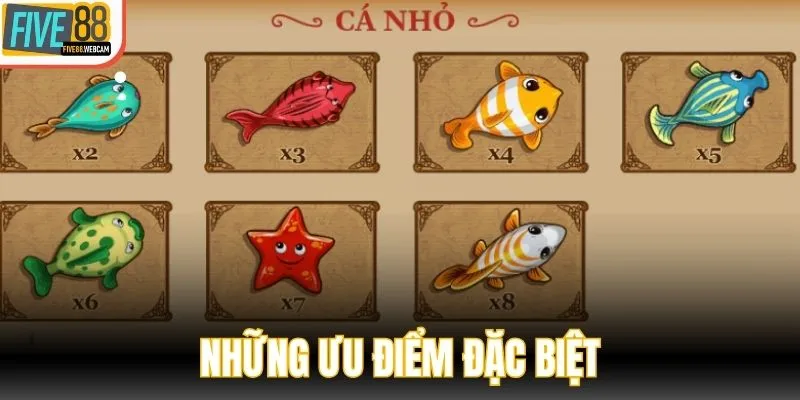 Những ưu điểm đặc biệt