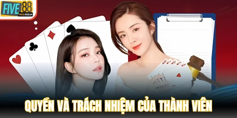 Quyền và trách nhiệm của thành viên trong điều khoản điều kiện