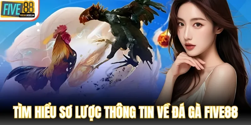 Tìm hiểu sơ lược thông tin về siêu phẩm đá gà FIVE88